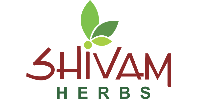 logo1